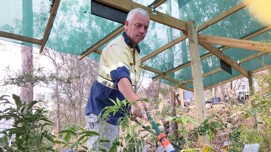 David Higgins watering his plants that have suffered from heat and wind.