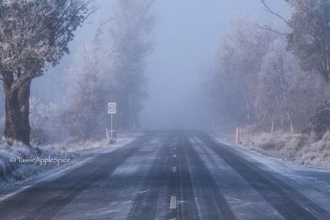 Frosty road in fog with snow-laden trees
