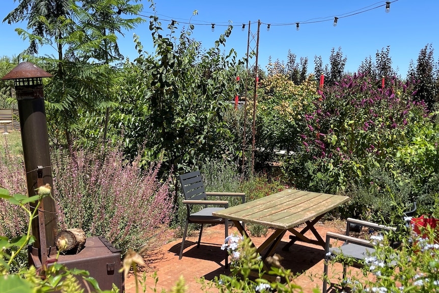 An outdoor setting with a wood fire oven and lush leafy and floral trees surrounding the paved area.