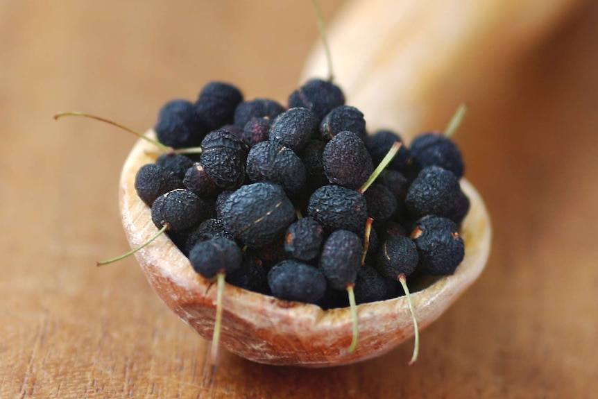 Dried mountain pepper berries