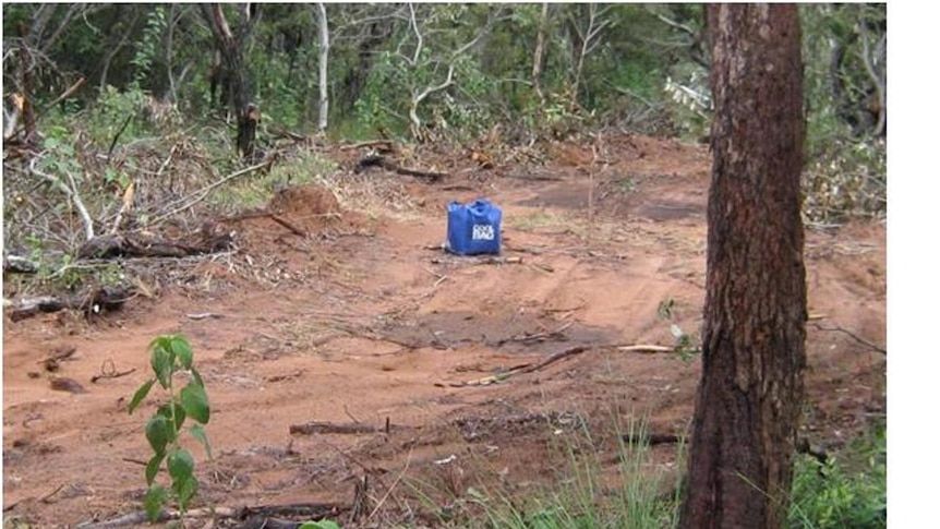 Illegal land clearing on Great Keppel Island