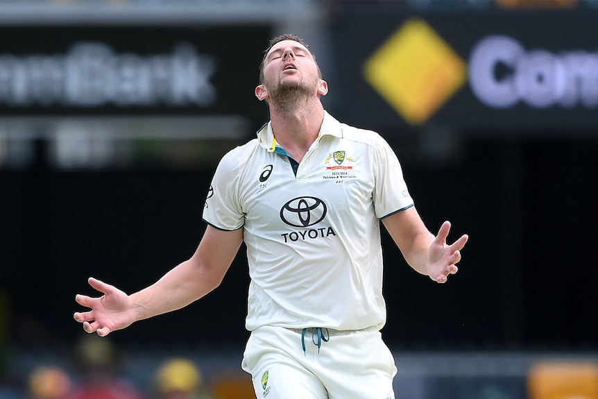 Josh Hazlewood throws his head back and holds his arms out