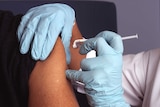 Close up of gloved hands injecting a vaccination into someone's upper arm.