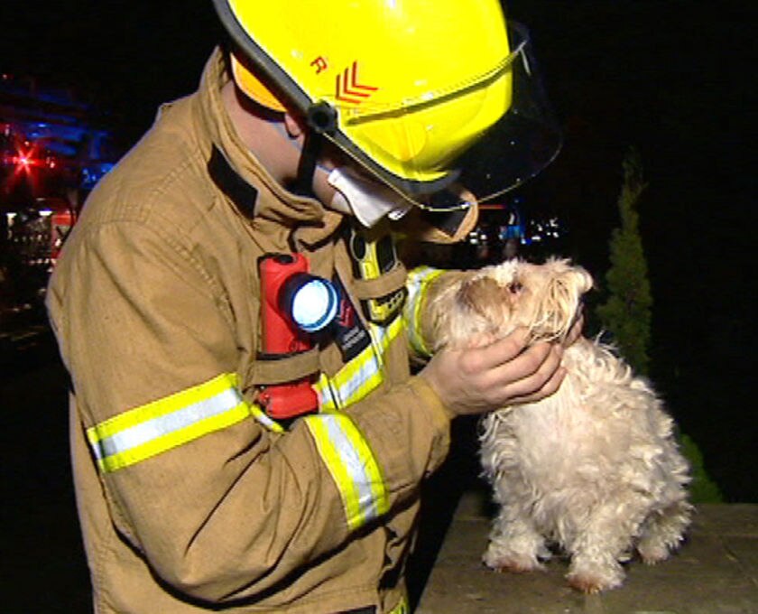 Elderly woman rescued from burning house - ABC News