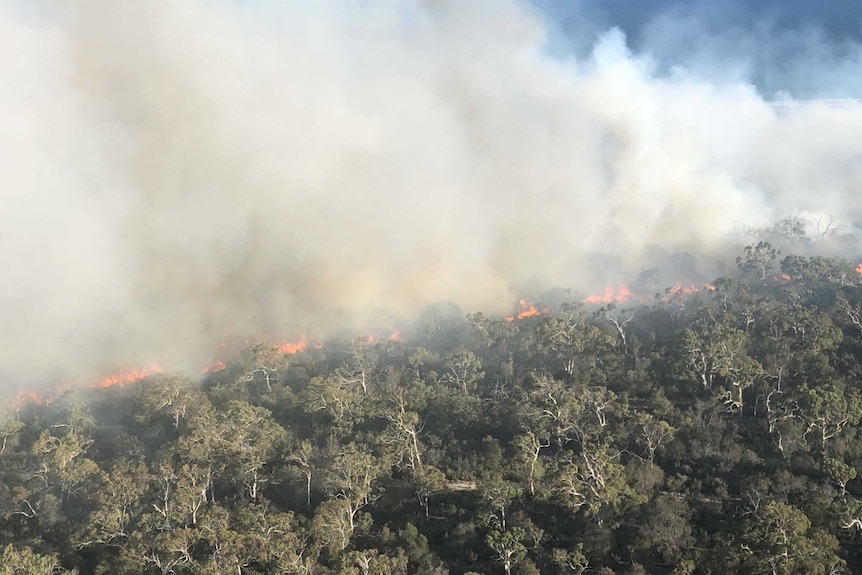 A plume of smoke rises from a fire front in bushland