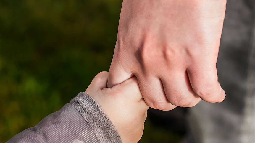 A child holds the finger of an adult.