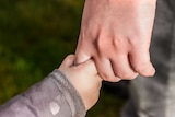 A child holds the finger of an adult.