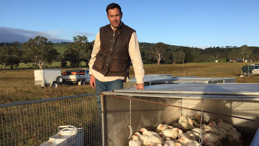 Tom Bradman with some of his chickens at his farm in South Australia.