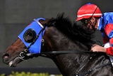 Pierro wins Champagne Stakes