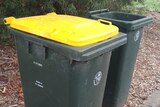 Yellow lidded recycling wheelie bin in Canberra ACT