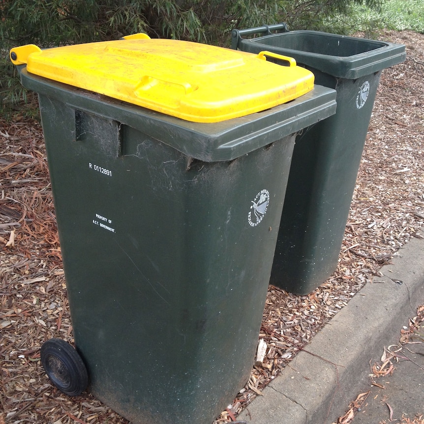 Yellow lidded recycling wheelie bin