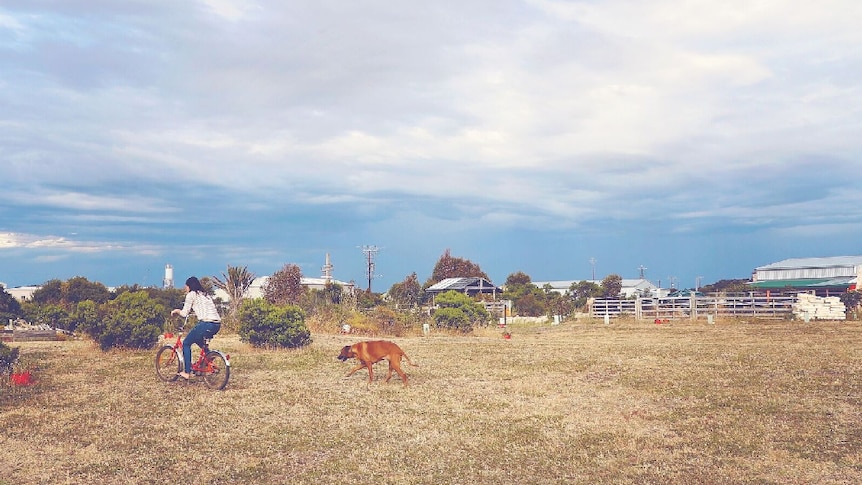 A woman with dark hair riding a red bicycle across a paddock, followed by a large tan dog.