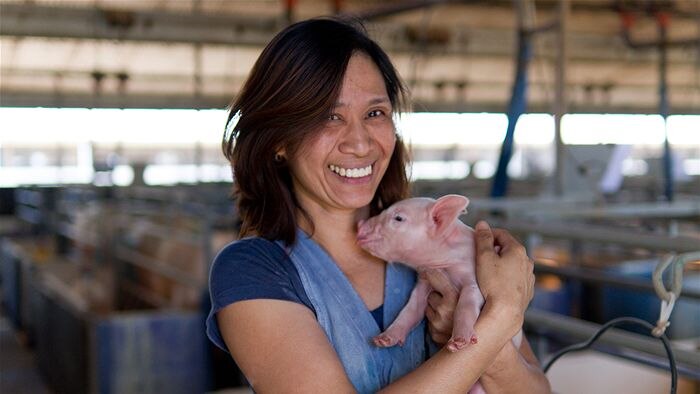 A Filipino woman holding a piglet.