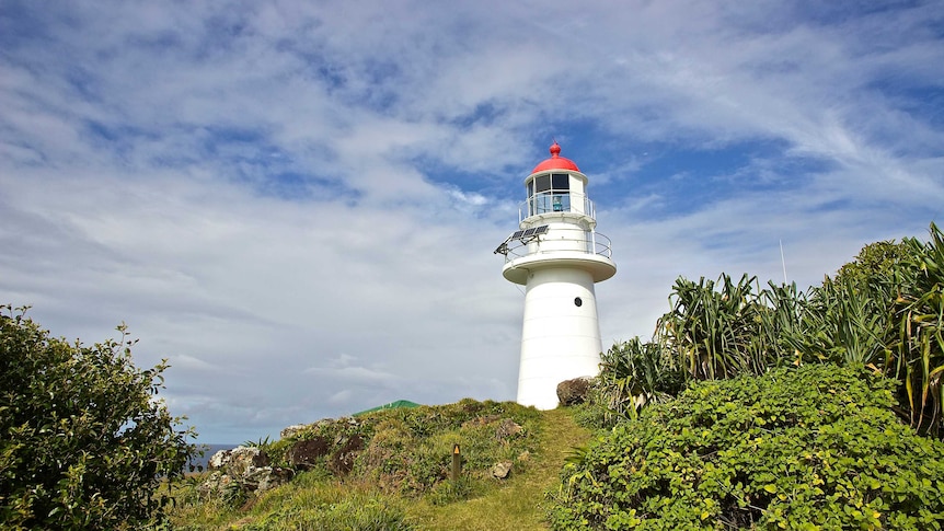 The white and red lighthouse with solar panels peaks up above vegetation on top of the head.