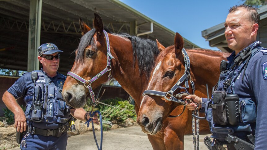 Constable Dave Masters with horse Felix and horse Jackpot with Acting Sergeant Simon Shilton standing by to be called out.