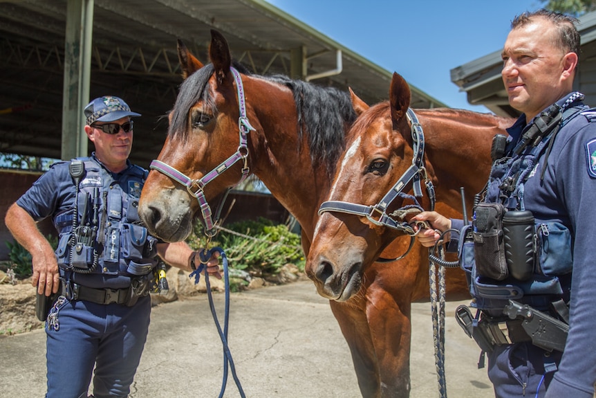 Constable Dave Masters with horse Felix and horse Jackpot with Acting Sergeant Simon Shilton standing by to be called out.