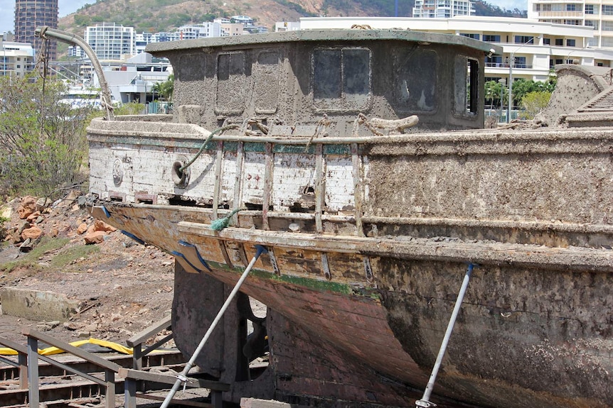 The rear of an old wooden ship which has been partially cleaned of barnacles.