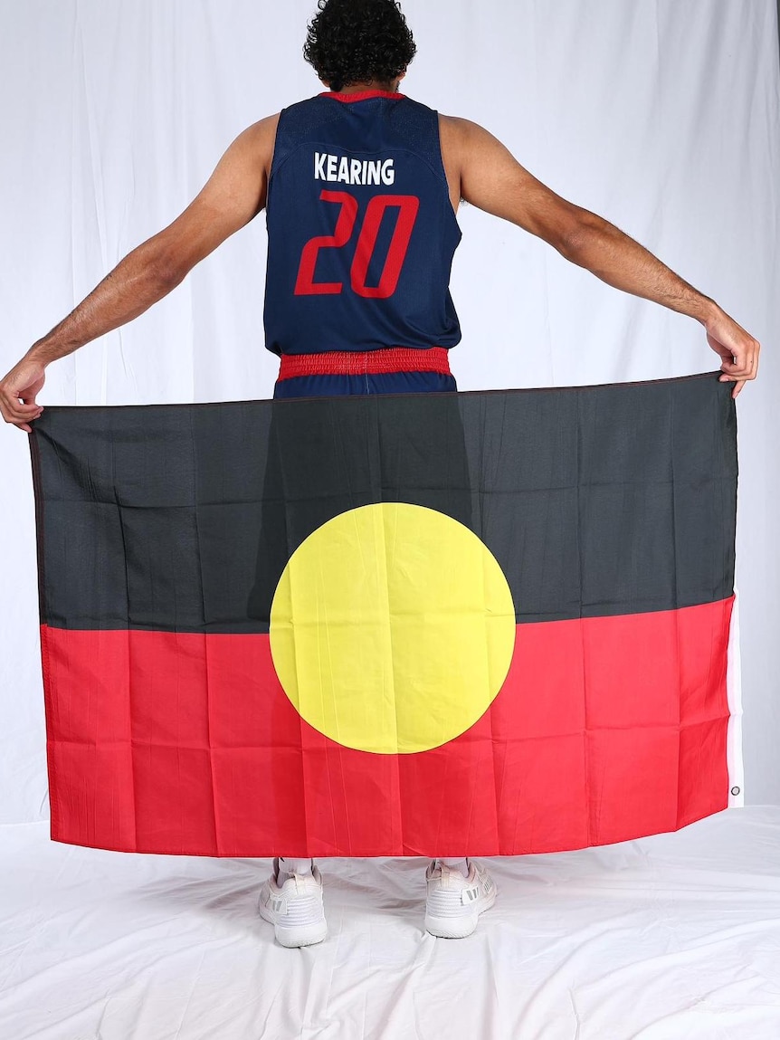 A man holding a flag with his back to the camera