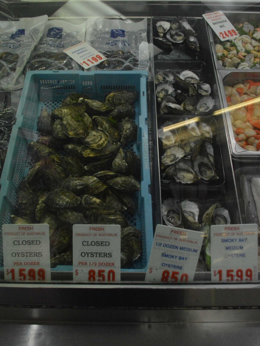 Oysters on display. Closed oysters in the blue container & opened oysters to the right on small trays.