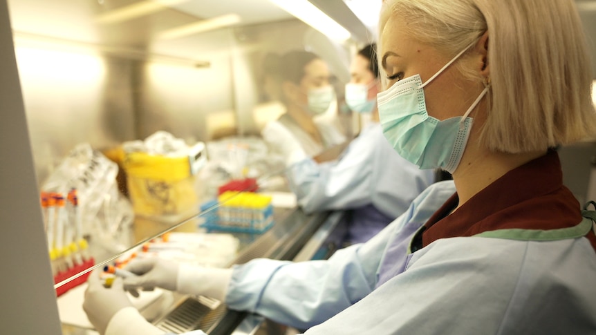 A laboratory worker handling PCR tests for COVID-19