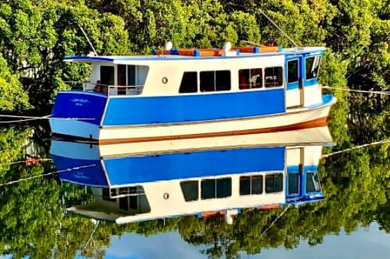 Ferry tied up near mangroves