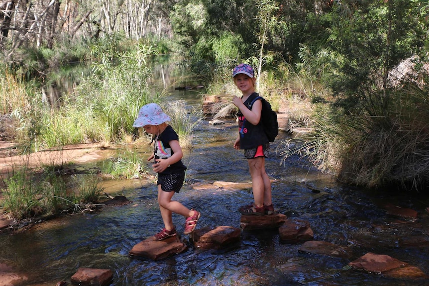 Two children crossing a creek in the bush.
