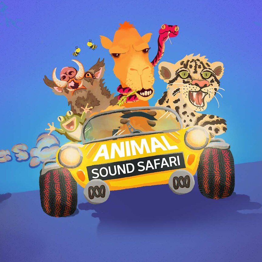 Animal Sound Safari podcast