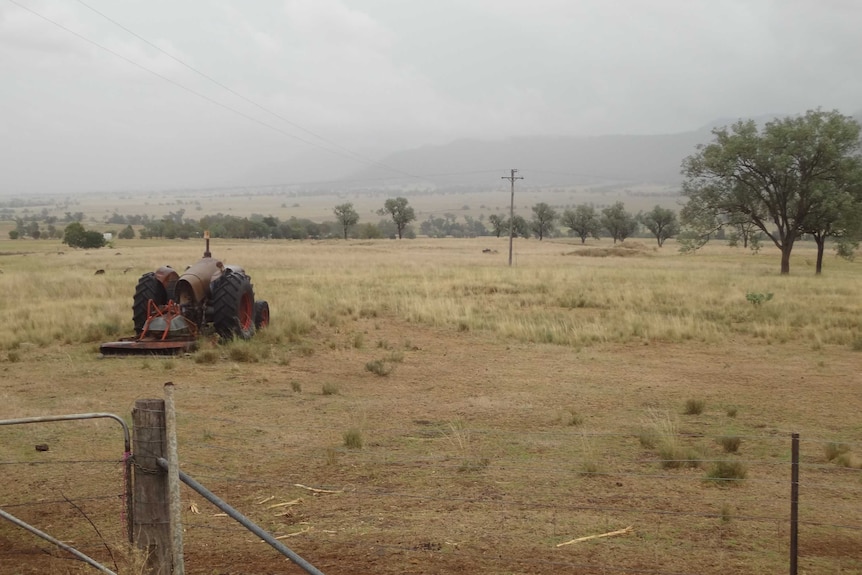 Dry property near Manilla, in north-west NSW