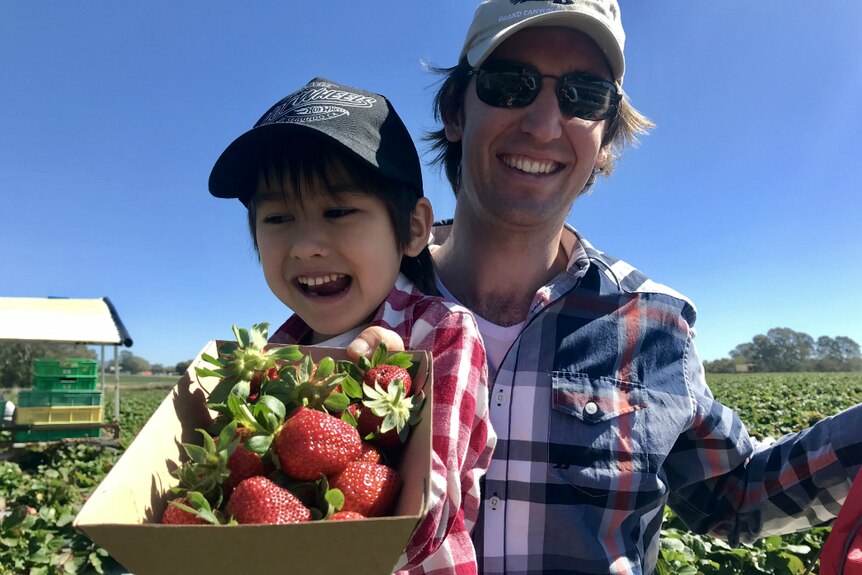 Matt Andony and his son pose in the field with a cardboard tray filled with strawberries.
