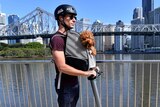 Michael Snowden and his pet cavoodle Snooks are seen riding his electric scooter along side the Brisbane River.