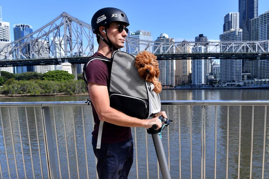 Michael Snowden and his pet cavoodle Snooks are seen riding his electric scooter along side the Brisbane River.