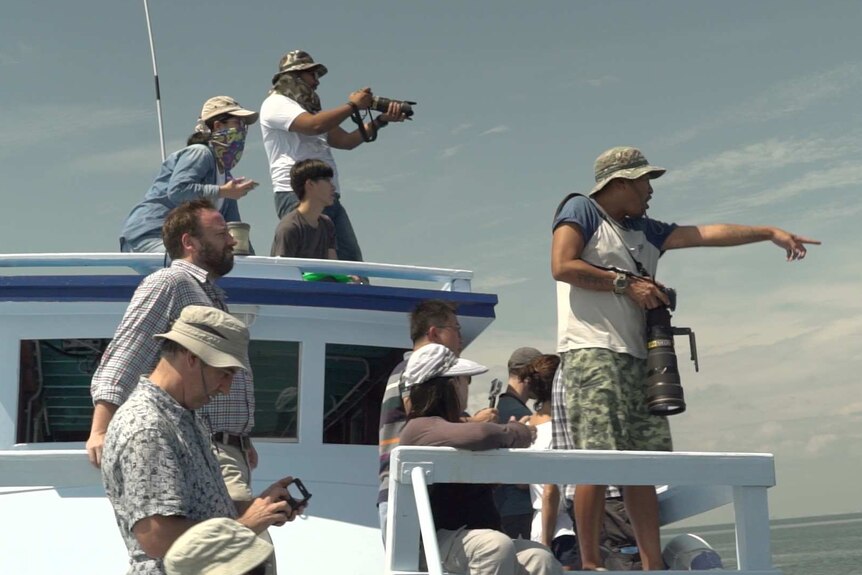 Whale watchers spot whales.