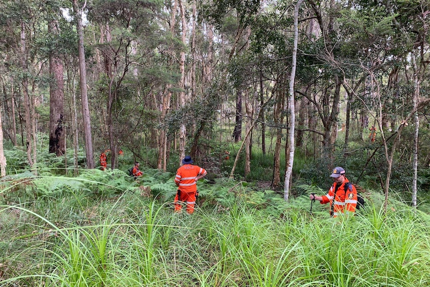 SES volunteers walk through scrub in Dularcha National Park.