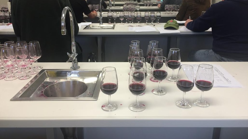 A group of people face away from the camera in front of laboratory desks, lined with glasses of red wine.