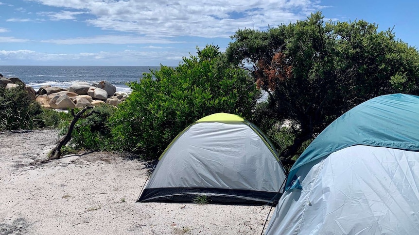 Two tents overlook the water at Tasmania's Bay of Fires