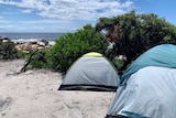 Two tents overlook the water at Tasmania's Bay of Fires