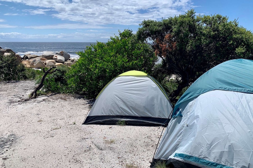 Two tents overlook the water at Tasmania's Bay of Fires