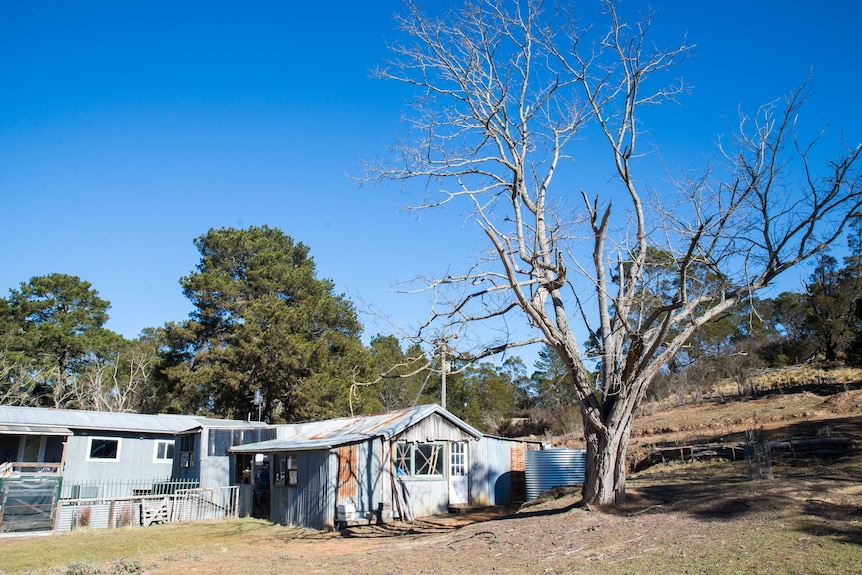 Wildlife care clinic