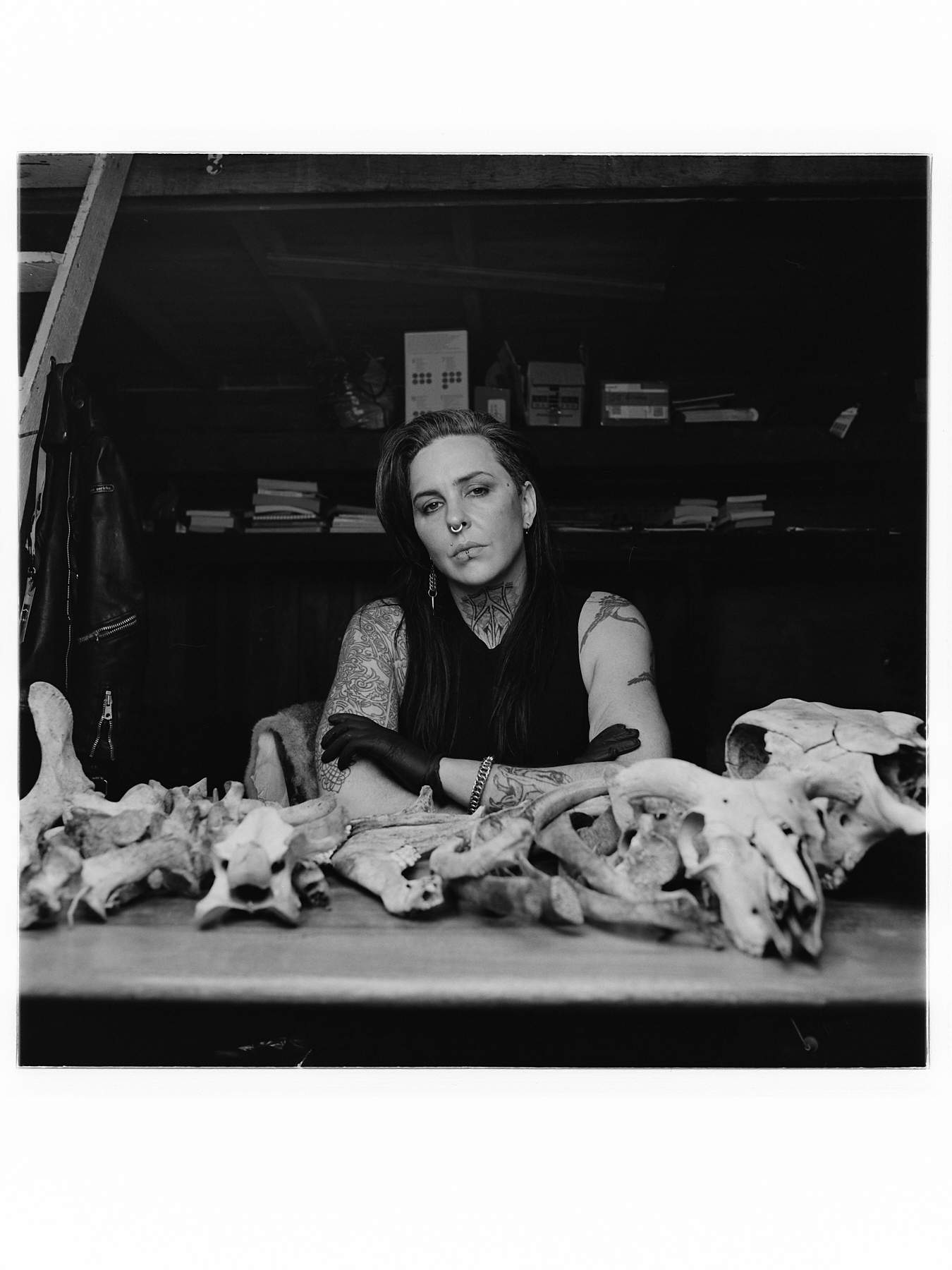 SJ Norman's The Bone Library, and Kolour Me Kweer - ABC Radio National