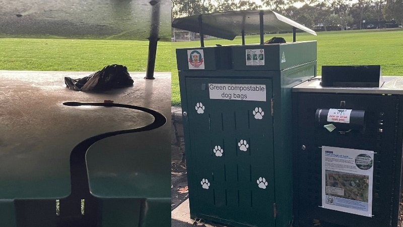 two rubbish bins side-by-side and top view of one bin showing S shaped top