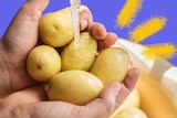 Hands under a running tap holding five potatoes to depict tips for buying and cooking potatoes.