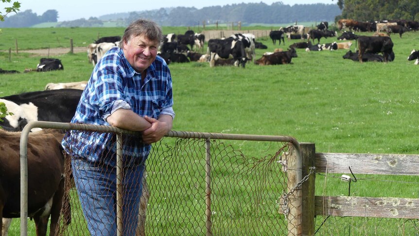 Kevin Frankcombe leans on a fence near the cows in the paddock
