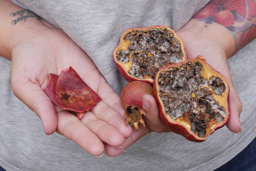 A woman's hands holding pomegranate skins and seeds.