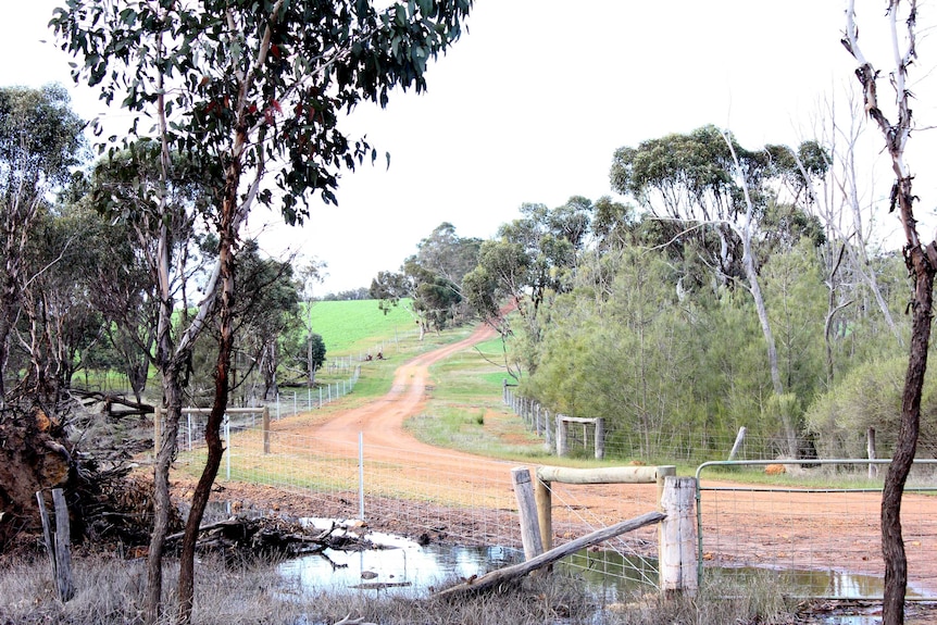 Farm road