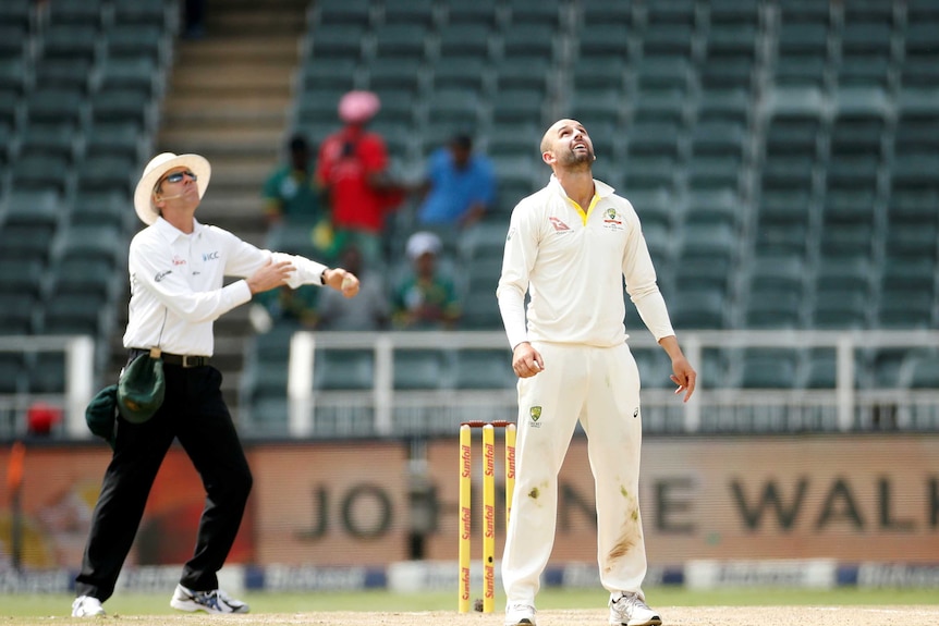 Nathan Lyon and umpire Nigel Llong look up in the sky.