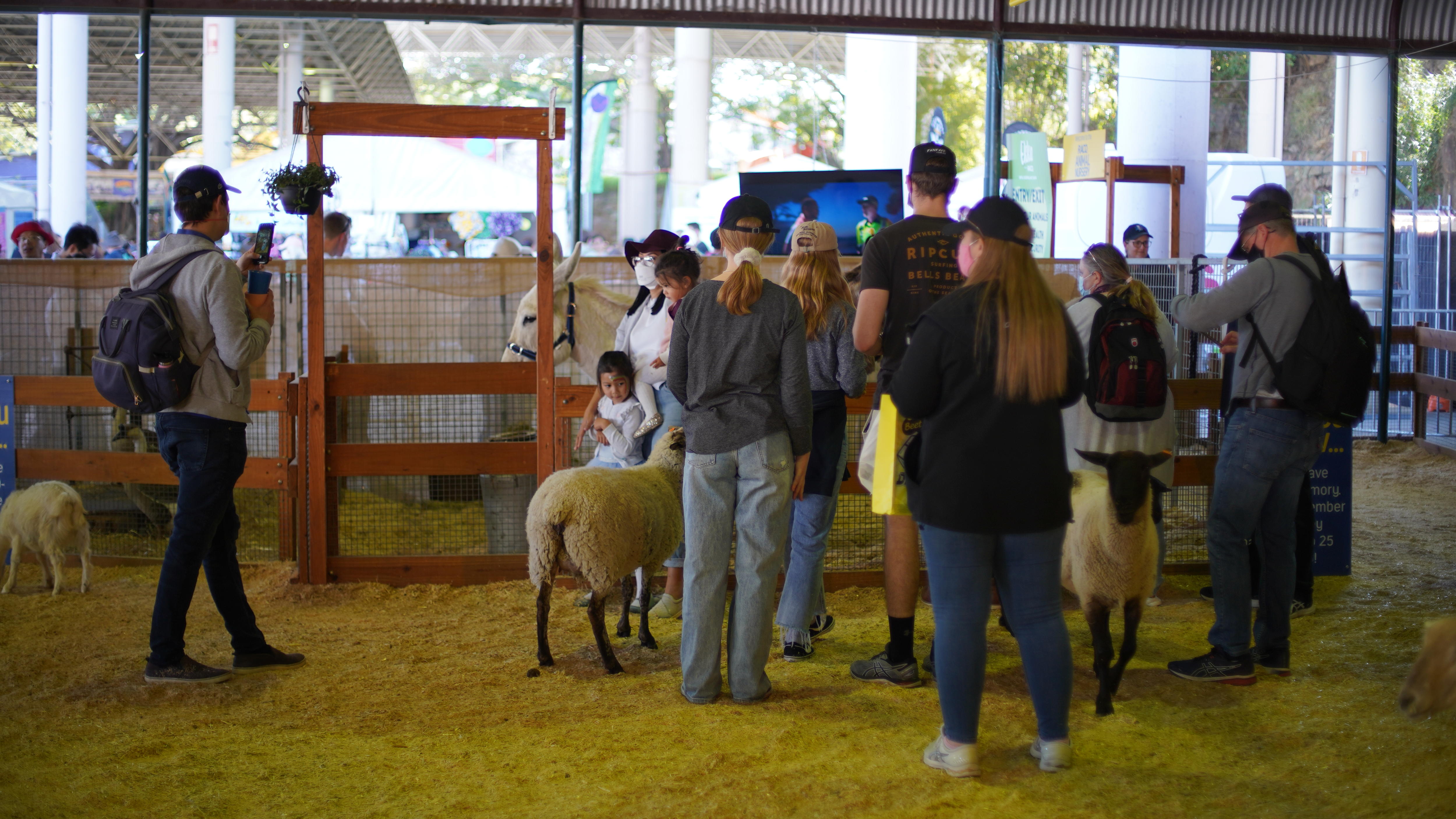 People look at animals at royal show.