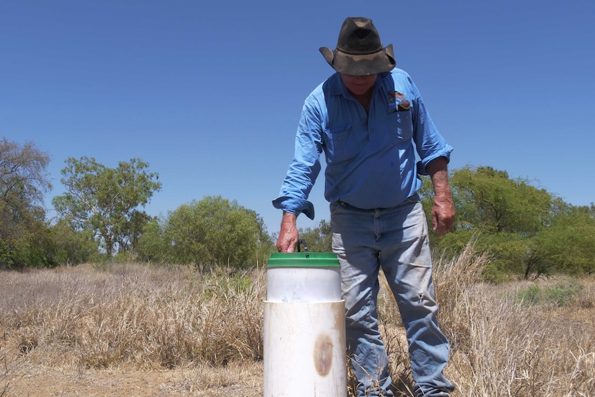 A man in a sunny paddock opening bore cover