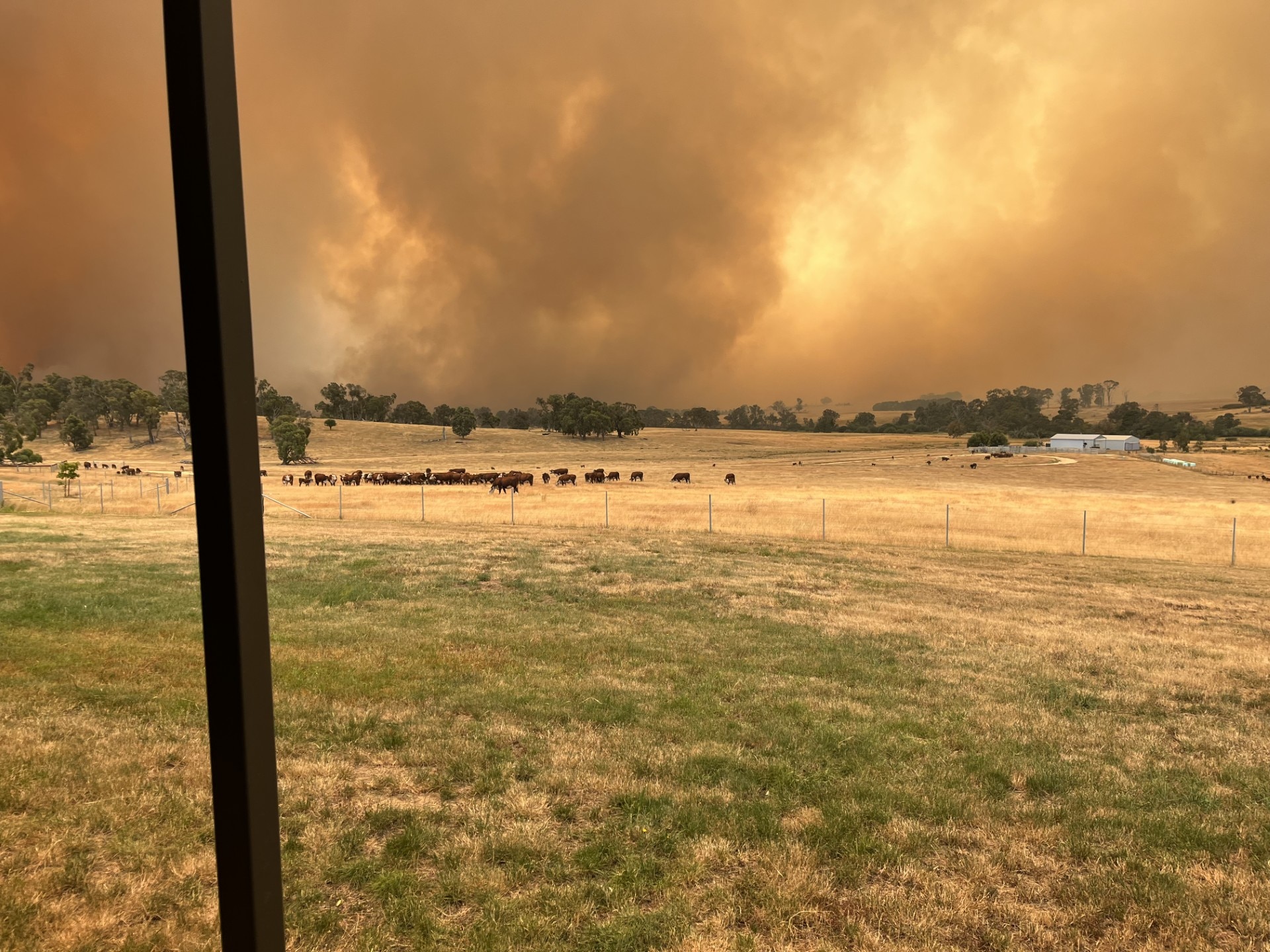 Fumaça e fogo em um prado criam uma neblina
