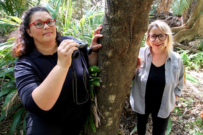 Two women, Dr Beth Nott and Dr Holly Parsons, standing in a rainforest