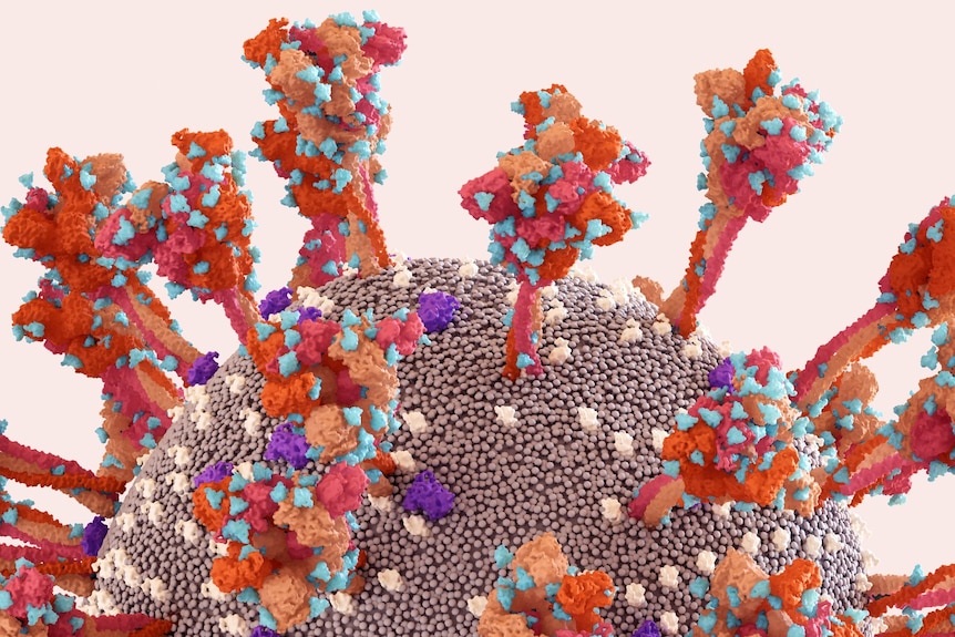 An illustration of spikes on the surface of a virus